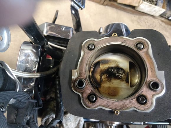 I was surprised to see how clean the Piston tops were.. I guess my Wego III IS doing it's job...