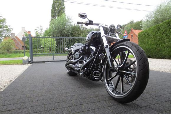 Her you also  can see my chinese daymaker with big angeleye