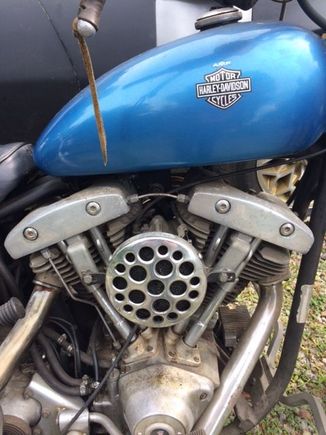 Notice the eagle NOT flying alone. AMF still gets a lot of hate but will my sportie still be running in 40 years?