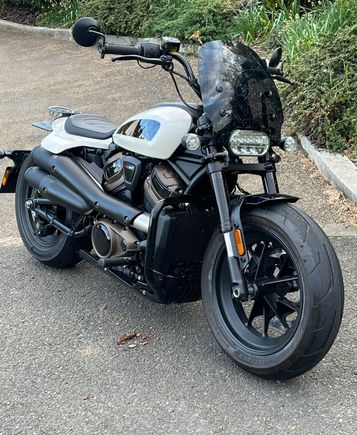 Screen full of flies