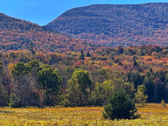 Autumn in the Catskills. 
