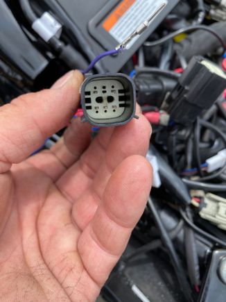 This is the MX150 6 pin sealed connector 