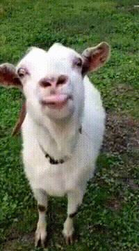 Let me fix that........