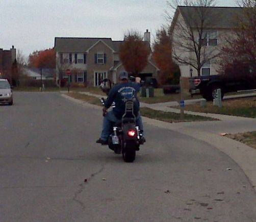 Ridin Apes