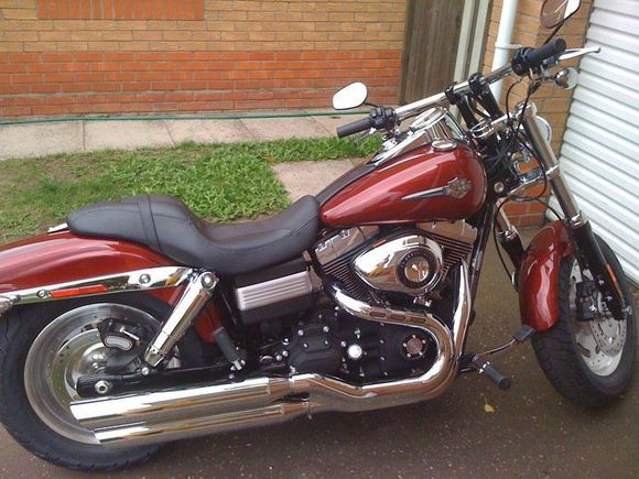 THE HOG - Stock, the day i brought her home!