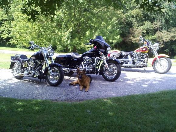 Witch 1, 2 ride?