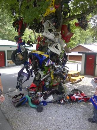 Tree of Shame 2 - Deals Gap