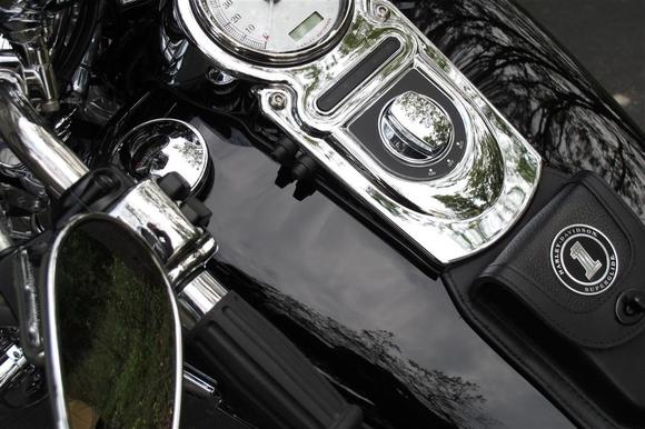 Updated picture - 9/25/11 - H-D LED Auxiliary Lamp on/off switch (matches odometer reset button)