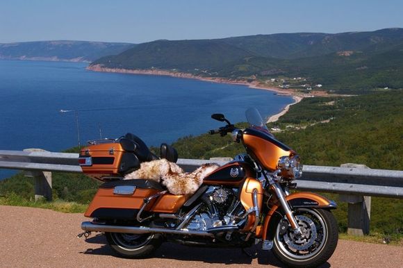 On Cabot Trail