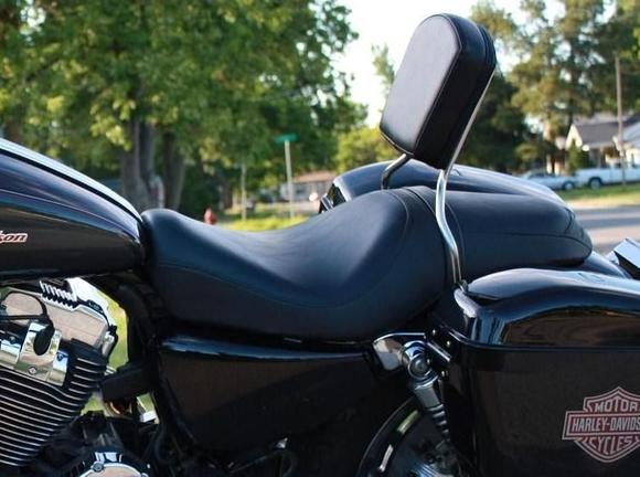 1315867312.77538300sportster