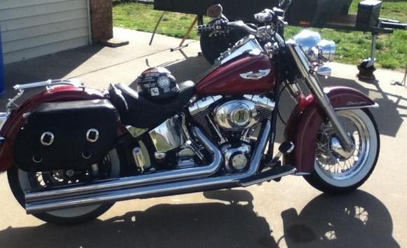 New softail