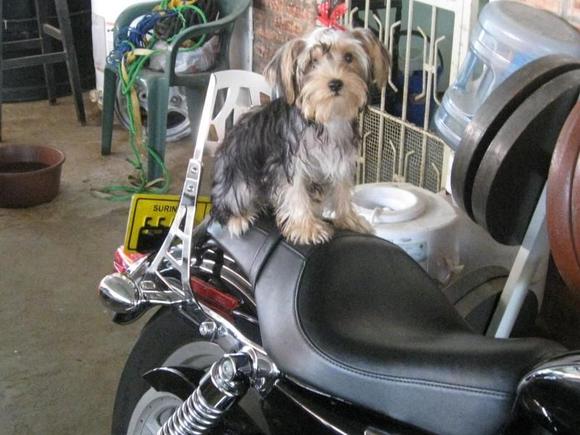 my ride
ready to go