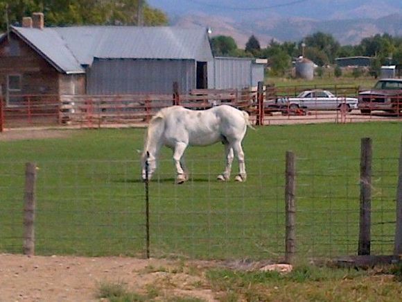Next to a restaurant in Idaho we ate at.