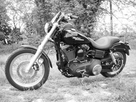 street bob pics 1 014