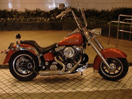 HD Forums Hog Photo