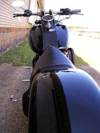 fat ass