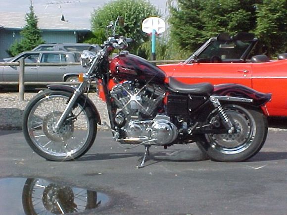 Supbikel2