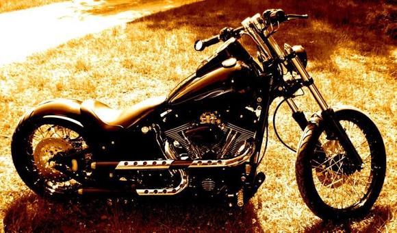 2005 Chop Bob And Roll ............Night Train