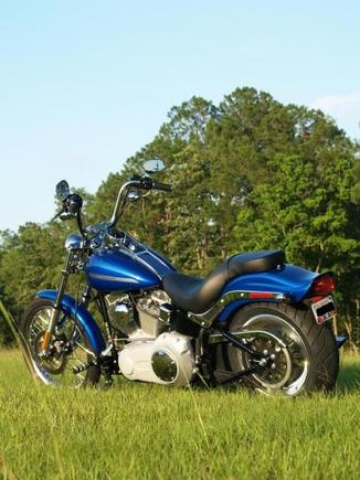 After some rush slip ons and mini apes