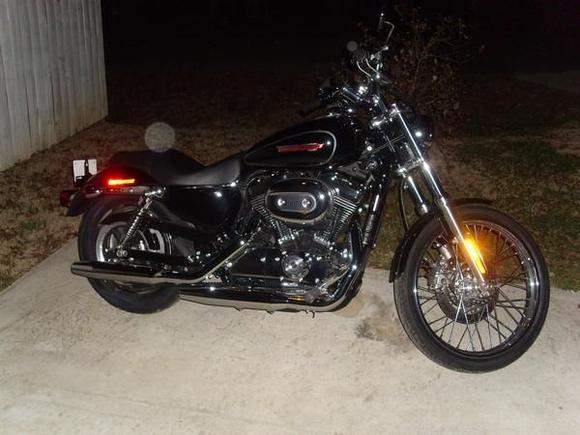 Sportster2
