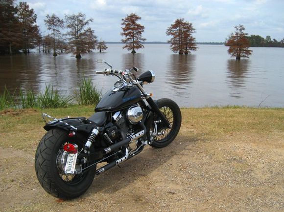 Caddo2