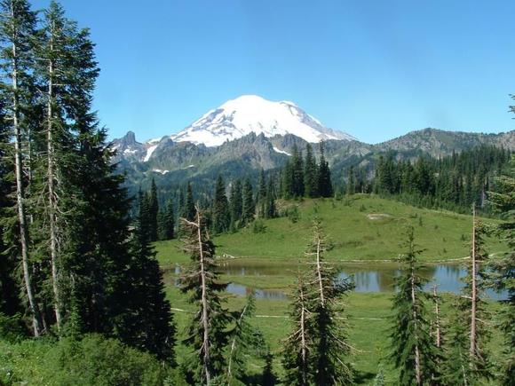 Mt. Rainier