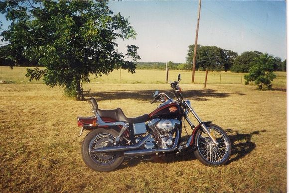 First Harley 2000 wide glide
