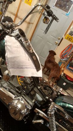 I just installed one of these on my Super Glide about a month ago! original speedo had a white face that stuck out like a sore thumb with my color scheme and liked the brushed aluminum look of this one. was crazy simple to install also, programs easy to read correct mileage. also like the fact I can program back light color different for the tach than the speedo