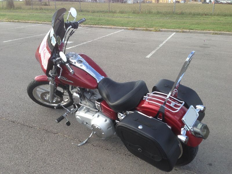 viking saddlebags dyna