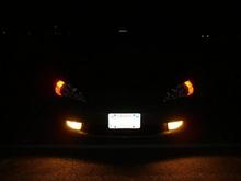 Fogs(Front)