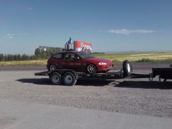 Another picture of it.