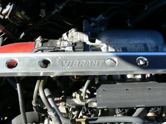 Vibrant Strut Bar