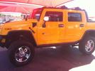 bumble bee