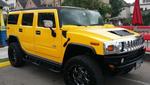 Bumble Bee