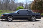 Garage - BLACK BEAUTY