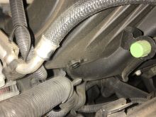 No bolt here either?