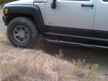 In the Wild 5