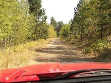 Logging Rd.