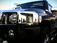 2008 Alpha