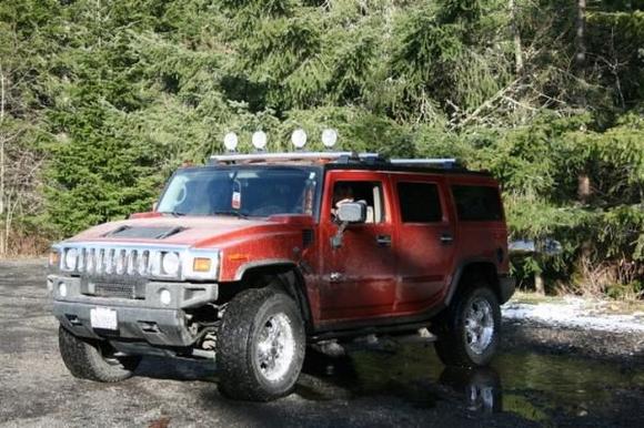 Betty playing in the mud.