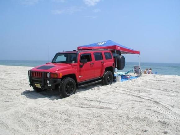 Hummer beach combing . . .