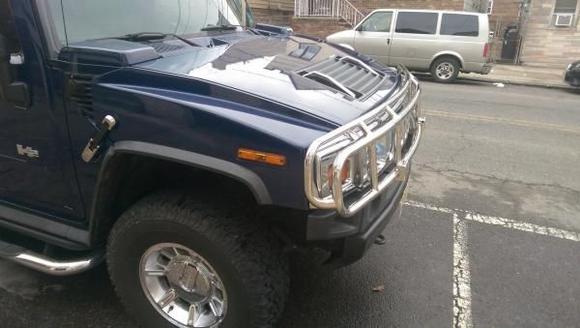 New Grill Guard