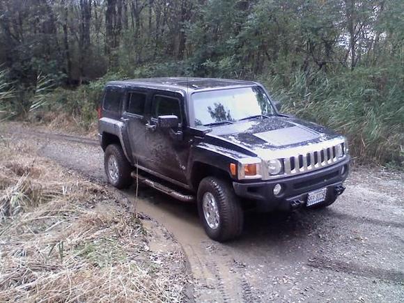 In the trail