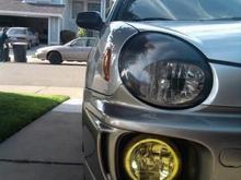 painted lights