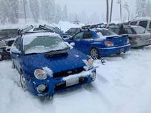 This was not planned!! and is why I love Subarus