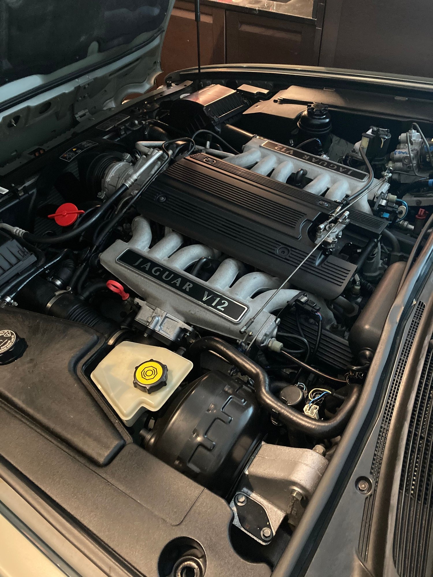 1996 Jaguar XJ12 - 1996 Jaguar XJ12 - Used - VIN Sajmx6344tc762430 - 61,303 Miles - 12 cyl - 2WD - Automatic - Sedan - Other - Miami Shores, FL 33161, United States
