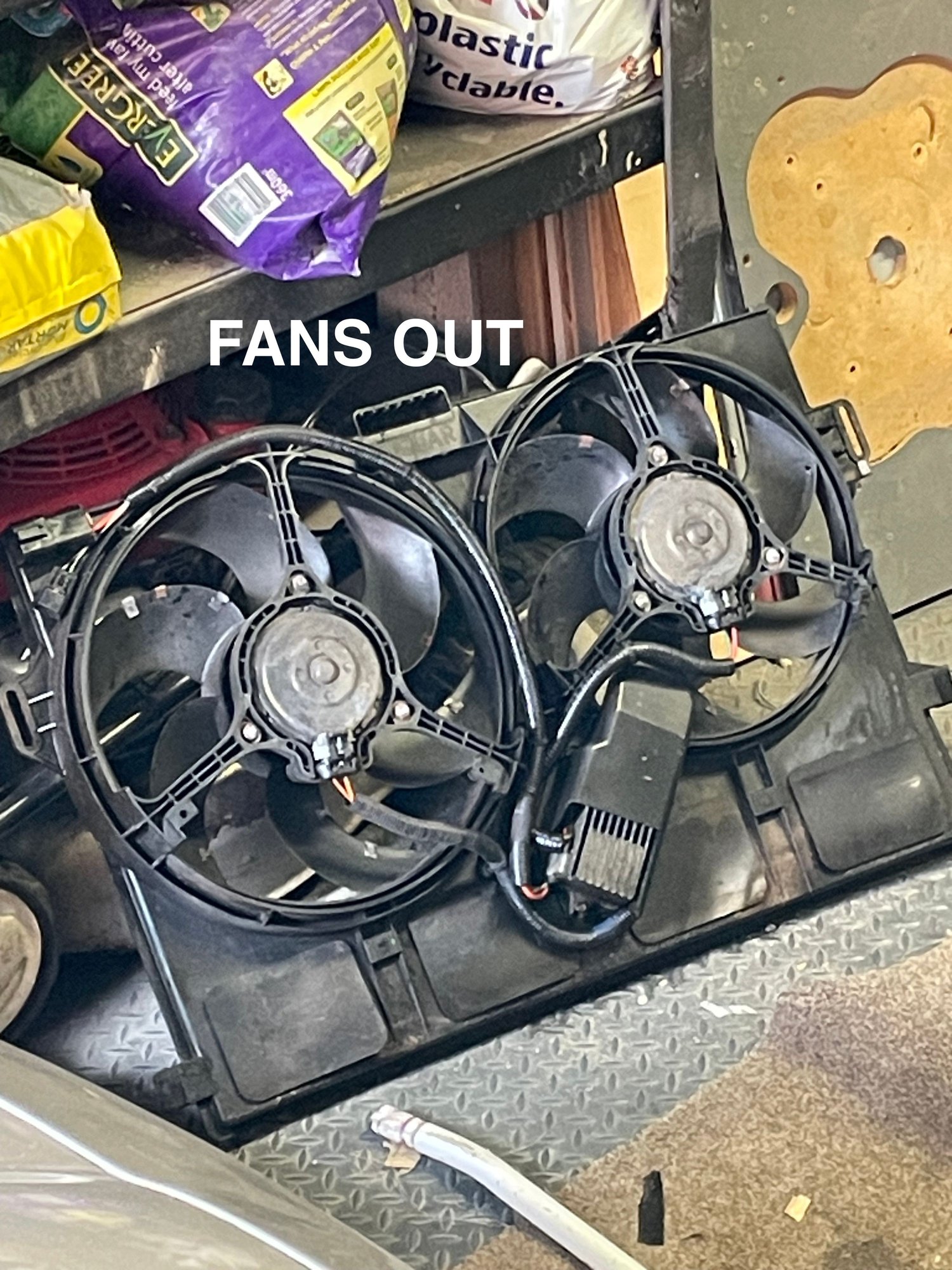 FANS OUT