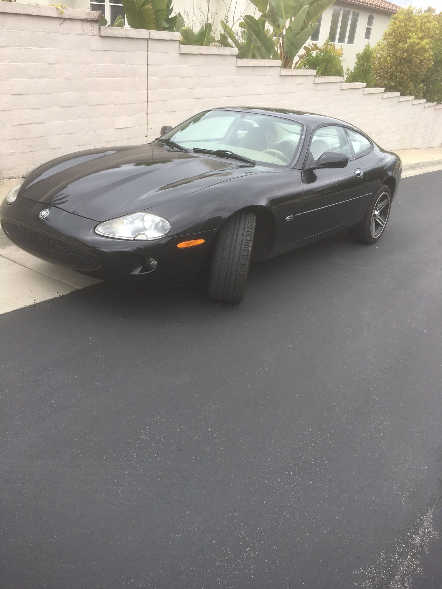 1997 Jaguar XK8 - 97 Jaguar XK8, Black, Coupe - Used - VIN sajgx5743vc011274 - 8 cyl - 2WD - Automatic - Coupe - Black - Springfield, IL 62677, United States