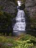 October tour to Falling Water Penn.