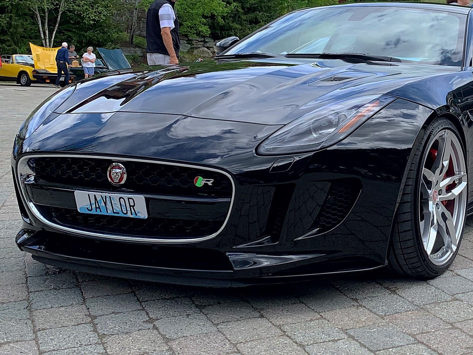 Exterior Body Parts - Jaguar F-Type front grill, OEM, 2014-2017 - Used - 2014 to 2017 Jaguar F-Type - Seattle, WA 98116, United States
